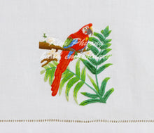 Tải hình ảnh vào trình xem Thư viện, Vẹt đuôi dài